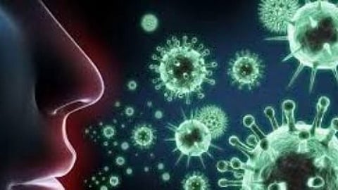 لحظة بلحظة.. ماذا يحدث عندما يدخل فيروس كورونا الجسم؟