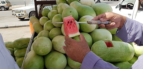 بالصور.. حبحب وادي الدواسر وفرة في المحصول جودة في المنتج سعر مناسب