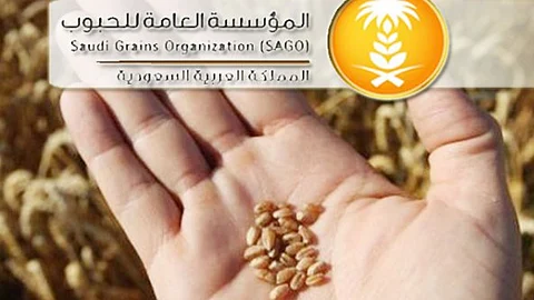 «مؤسسة الحبوب» تُنهي ترسية الدفعة الثالثة من القمح المستورد لعام 2020
