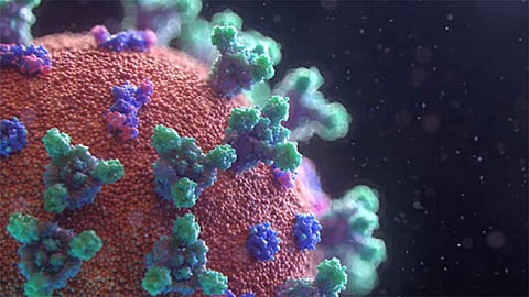 حرب الأوبئة.. أزمة كورونا تجذب انتباه المتشددين للإرهاب البيولوجي