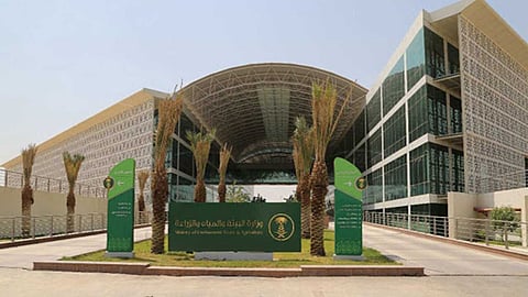 وزارة البيئة: عقوبة إهمال رعاية الحيوانات تصل إلى50 ألف ريال