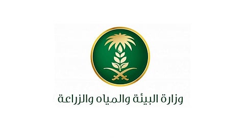 بالأرقام.. كيف استفادت المملكة من مياه السيول على مستوى المناطق المختلفة؟