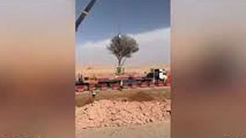 بالفيديو.. في عملية استغرقت 48 ساعة.. نقل شجرة معمِّرة بالرياض