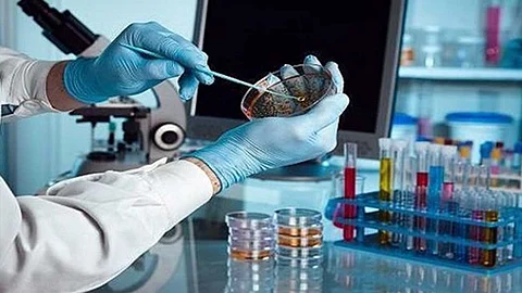 بالليزر.. الإمارات تطور تقنية سريعة لاكتشاف "كورونا"