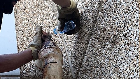 بالصور.. الدفاع المدني ينقذ قطتين محتجزتين في تيماء والقطيف