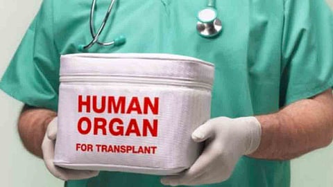 بادرة إنسانية نادرة.. أب تبرع بأعضاء طفله المتوفى دماغيًا لإنقاذ 5 مرضى في بريدة