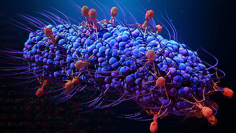 دراسة حديثة: 1.7 مليون فيروس تهدد الإنسان