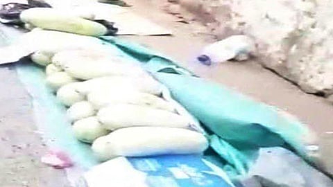 بالصور.. حملة لمكافحة الظواهر السلبية في حوش بكر بمكة