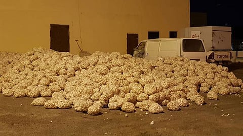 بالصور.. بلاغ مواطن يقود لمصادرة 5 أطنان ثوم في «أبومراغ» بمكة المكرمة