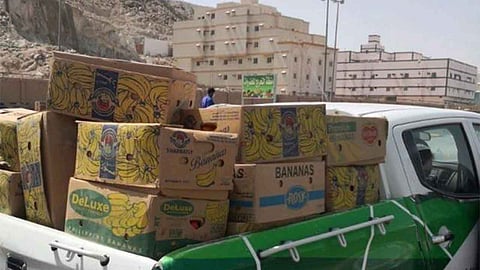 خلال أسبوع.. مصادرة أكثر من 600 كيلو جرام خضراوات وفواكه في المعابدة