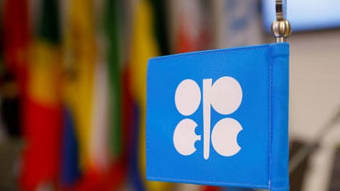 الإمارات تعليقًا على أعضاء «أوبك+» الأقل امتثالًا للتخفيضات: سينفذون تعهداتهم