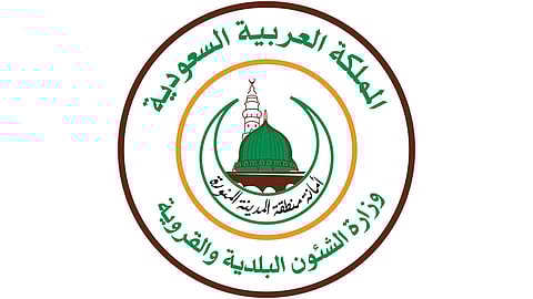 مصادرة أكثر من 3.5 طن خضار وفاكهة تالفة بالمدينة المنورة