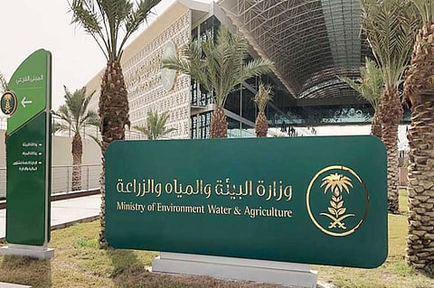 وزارة البيئة تحقق في نفوق «أسماك القنفذة».. ومسؤول يوضح الأسباب