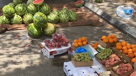 مصادرة أكثر من طن فواكه فاسدة في نطاق بلدية العزيزية بمكة المكرمة