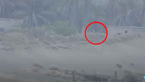 بالفيديو.. إفساد محاولة تسلل حوثية تجاه المناطق المحررة بالحديدة.. ومصرع 8 إرهابيين