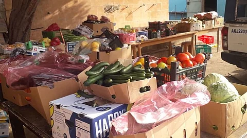 بالصور.. أمانة جدة تُصادر 24 طن خضار وفاكهة من البسطات العشوائية