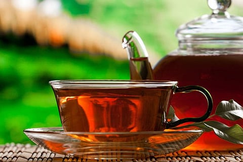 النمر يُصحّح 4 خرافات حول الشاي والحماية من الجلطات وأمراض القلب