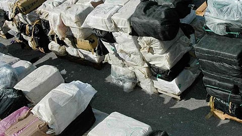 قادمة من المكسيك.. «كلب» يكشف شحنة المخدرات الأكبر في تاريخ سلوفاكيا