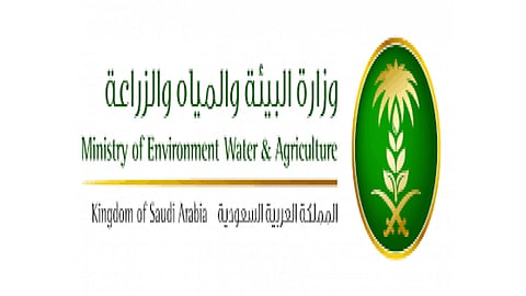 لمكافحة الاحتطاب.. «البيئة» تزيل 35 مصنعًا لإنتاج الفحم  بالمدينة المنورة