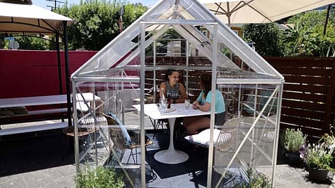 بالصور.. خشية كورونا صوبة زجاجية لكل زبون في مقهى بلوس أنجلوس