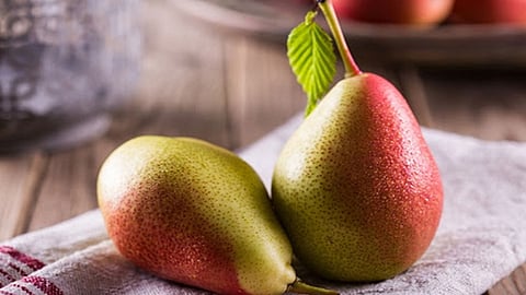 دكتور الطب البديل: «مسلوق الكمثرى» حل لعلاج كورونا.. و«المركز الوطني» ينفي