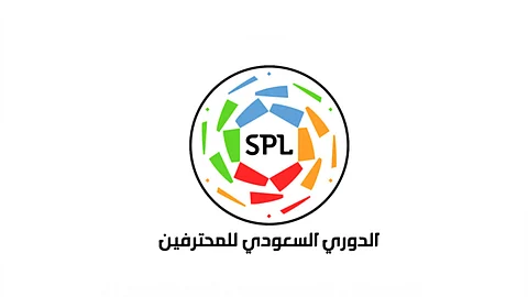 لجنة متخصصة لدراسة حالة ملاعب أندية دوري المحترفين