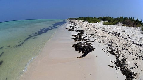 بالصور.. جزر محافظة البرك وجهة سياحية واعدة