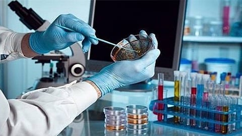 إنقاذ 60 مريضًا من بتر القدم في «صحة الجوف»