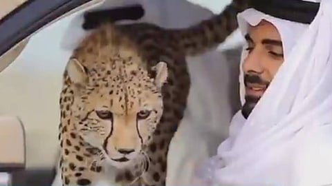 «تزوير واحتيال».. فضائح شقيق أمير قطر بأمريكا تظهر للعلن بعد 9 سنوات