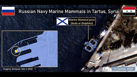 فوربس: صور الأقمار الصناعية توثق إرسال روسيا الدلافين المدربة للحرب في سوريا