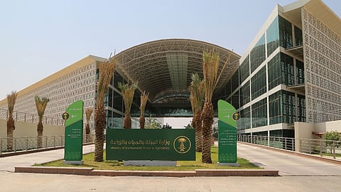 بالفيديو.. «البيئة» توضح شروط وإجراءات تقديم خدمة ترشيد استهلاك المياه