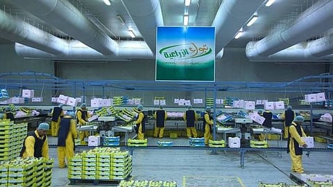 «تبوك الزراعية» توقع مذكرة لبيع حصتها في آفاق الغذاء إلى «سدافكو»