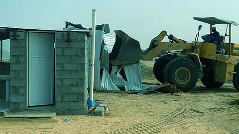 إزالة مسلخ لذبح الجمال ومصادرة 43 رأسًا من الأغنام