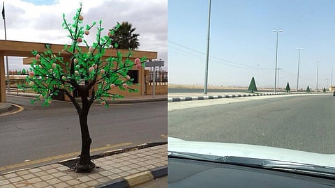 توضيح رسمي لانتشار الأشجار البلاستيكية في شوارع الشنان بحائل