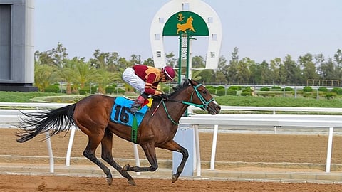 الجمعة.. انطلاق الموسم الصيفي لنادي سباقات الخيل هذا العام