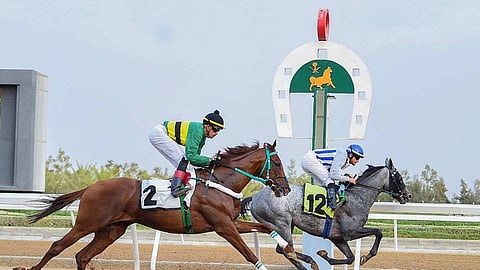 انطلاق سباقات الخيل للموسم الصيفي بميدان الملك خالد في الطائف