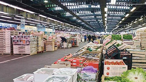 «الإحصاء»: ارتفاع أسعار الجملة بالمملكة 5.1% خلال يوليو