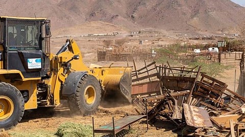 إزالة حظائر مخالفة وتعديات على مساحة 4 كيلومترات بمكة المكرمة