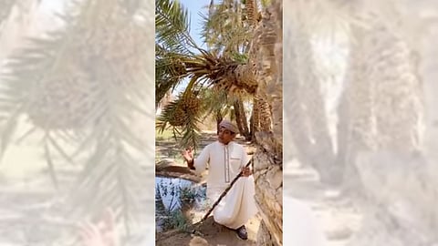 الزعاق يتوقع موعد بداية موسم «سهيل».. وانكسار الحرارة