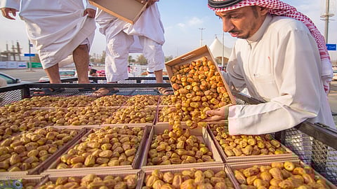 هل يؤثر المطر على التمر خلال هذه الأوقات؟.. الحصيني يوجه نصيحة لأصحاب النخيل