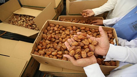 إقبال كبير على «سوق التمور» في بريدة.. والكميات تتجاوز 32 مليون كجم