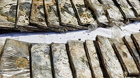 حرس الحدود يحبط تهريب 229 كيلوجرامًا من الحشيش ويقبض على 8 متهمين