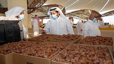 السبت.. انطلاق مزاد موسم «صرام تمور الأحساء»