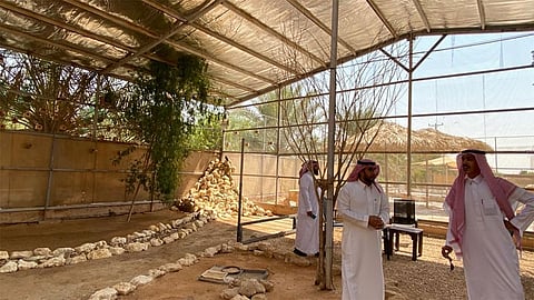 بالصور.. محافظ الخرج يطلع على التنوع الإحيائي في محمية المها