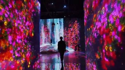 بالفيديو.. وزارة الثقافة تستقطب متحف «تيم لاب» الياباني العالمي إلى جدة