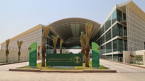 «البيئة»: 293 مليون ريال سنويا صادرات 3 شركات استزراع مائي لروسيا