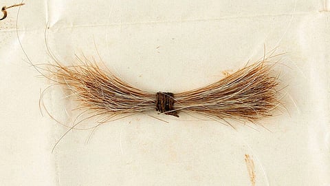 بيع خصلة شعر للرئيس الأمريكي لينكولن.. وورقة ملطّخة بدمه مقابل 81 ألف دولار