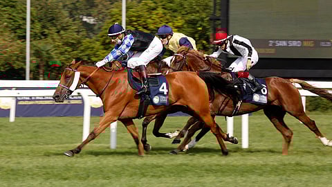 «جازمة عذبة» تخطف كأس رئيس الإمارات في ميلانو