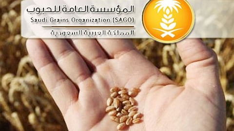 60  ألف طن.. استقبال أول شحنة قمح سعودي مزروع بالخارج