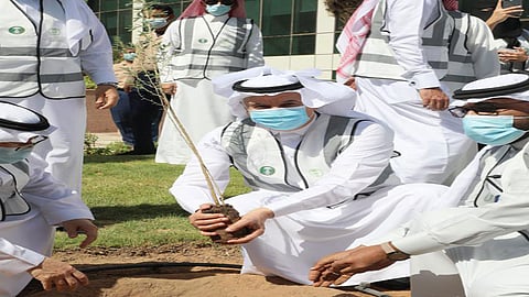 بالصور.. «الفضلي» يطلق حملة «لنجعلها خضراء» لزراعة 10 ملايين شجرة